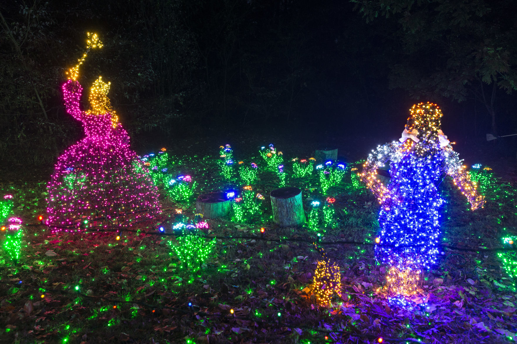 GardenFest of Lights
